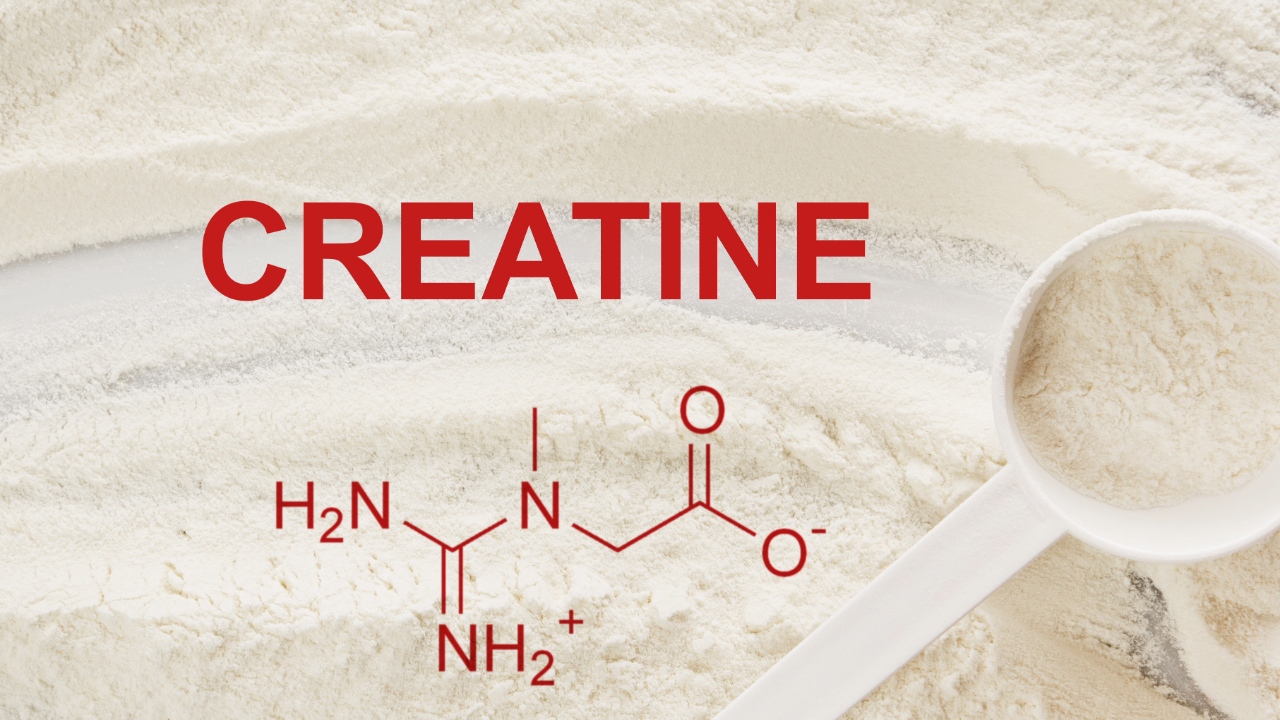 Creatine Benefits: Science-Backed Performance & Longevity