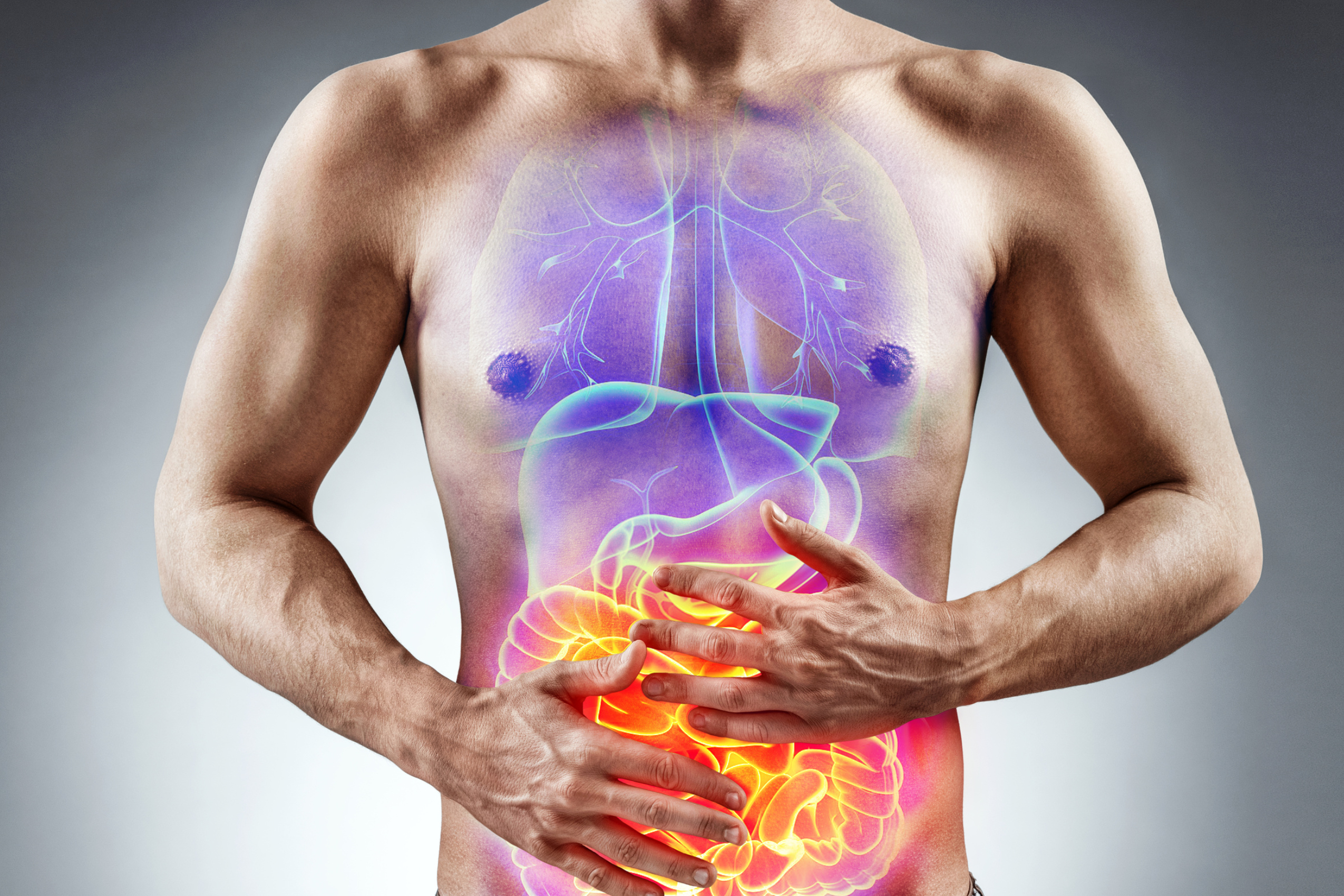 The American Inflammatory Diet AKA The High Omega 6 Diet